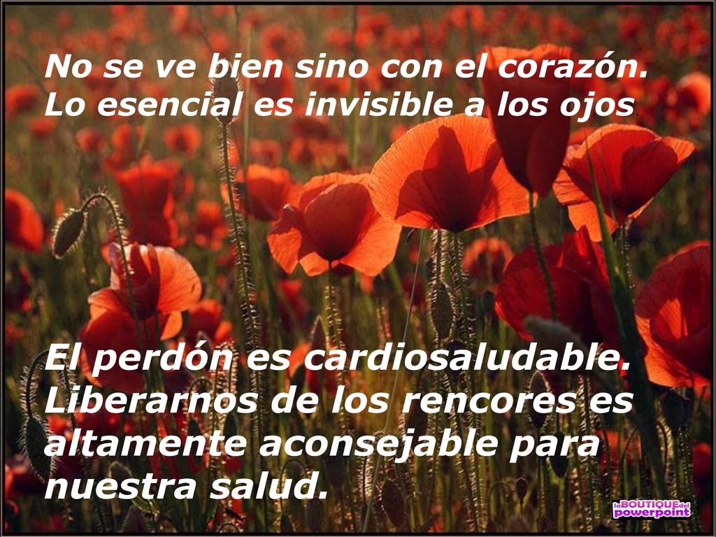 No se ve bien sino con el corazón. Lo esencial es invisible a los ojos.