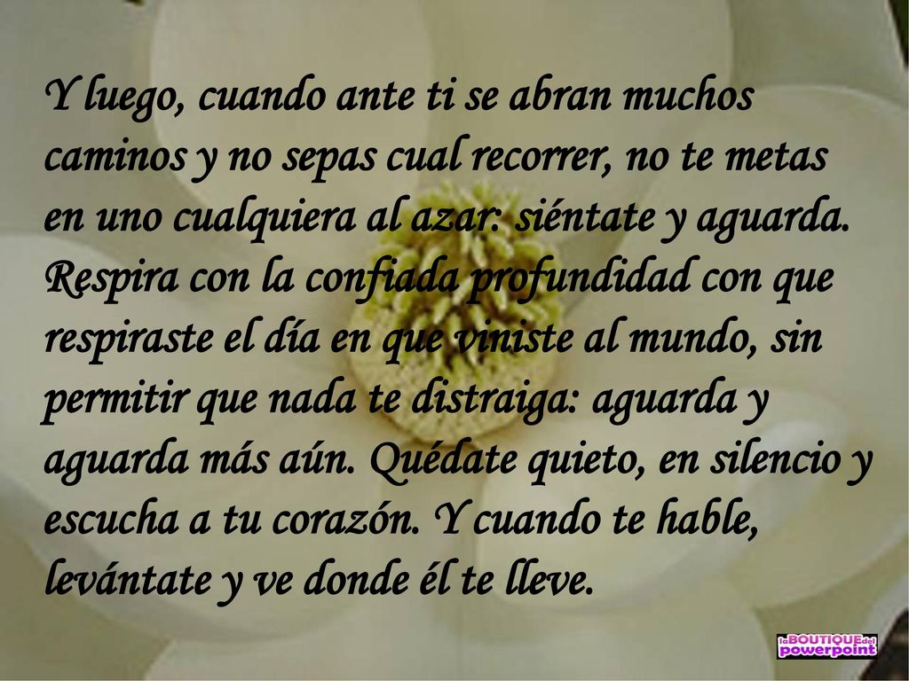 Y luego, cuando ante ti se abran muchos caminos y no sepas cual recorrer, no te metas en uno cualquiera al azar: siéntate y aguarda.