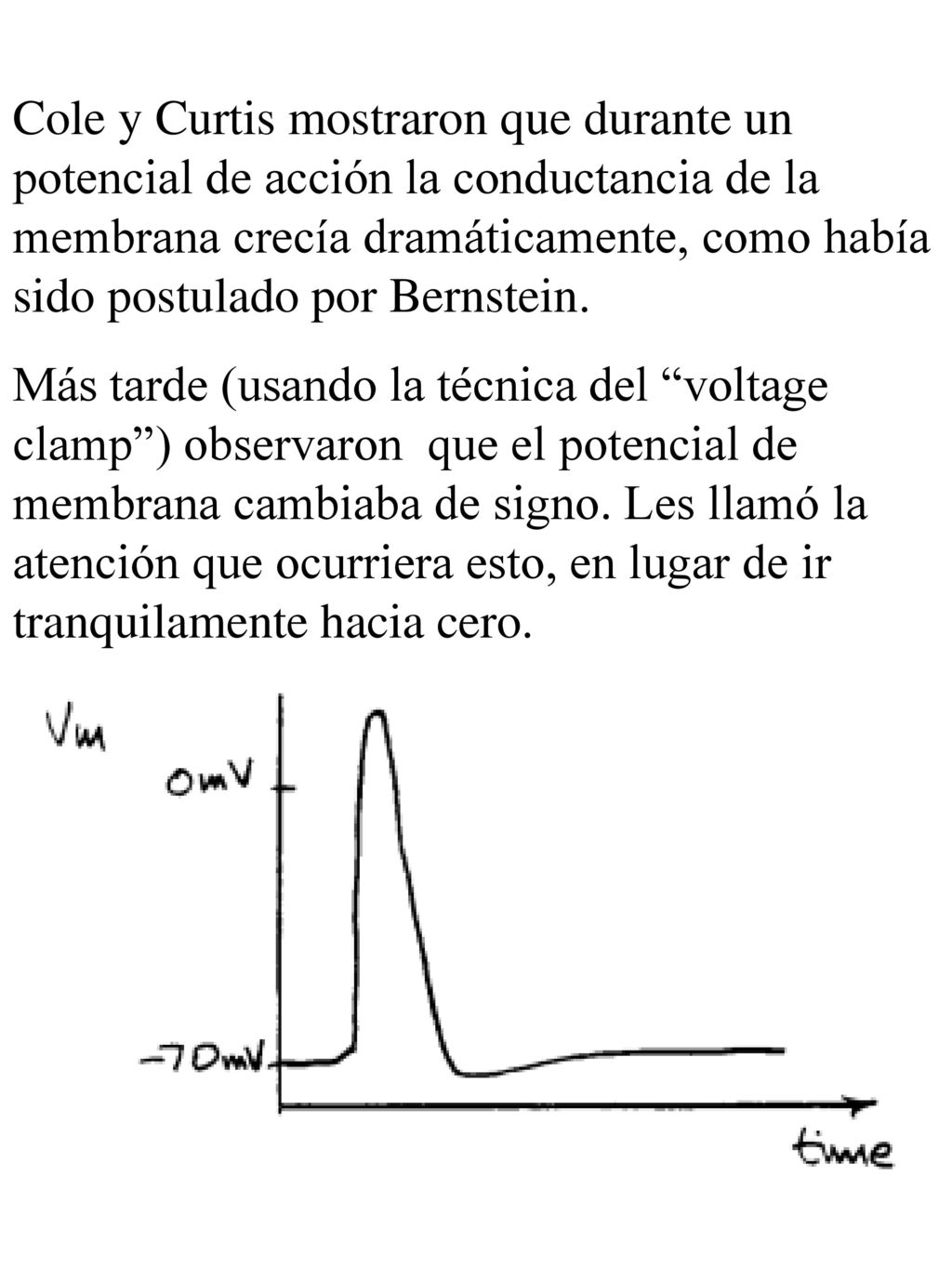 Cole y Curtis mostraron que durante un potencial de acción la conductancia de la membrana crecía dramáticamente, como había sido postulado por Bernstein.