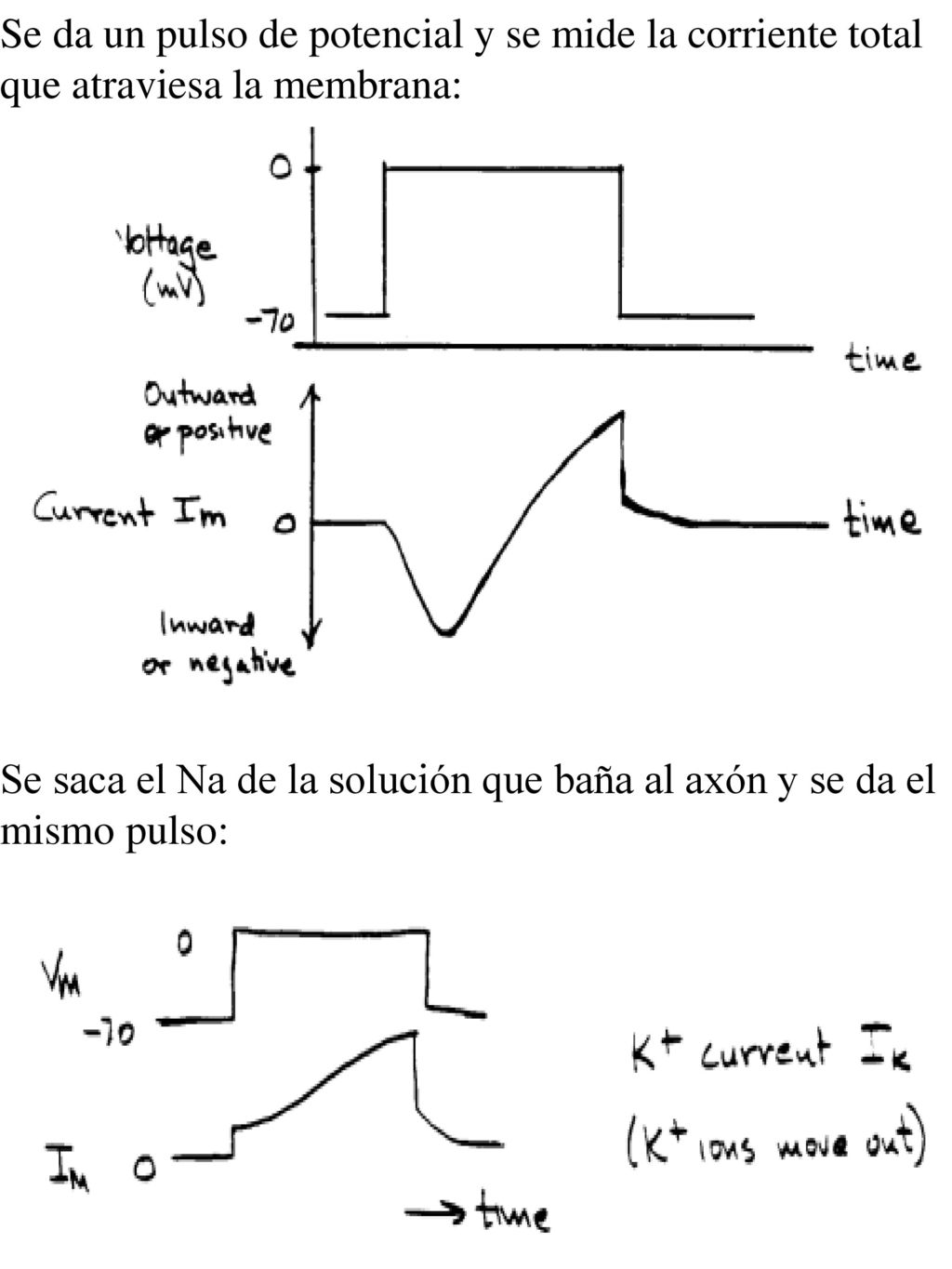 Se da un pulso de potencial y se mide la corriente total que atraviesa la membrana: