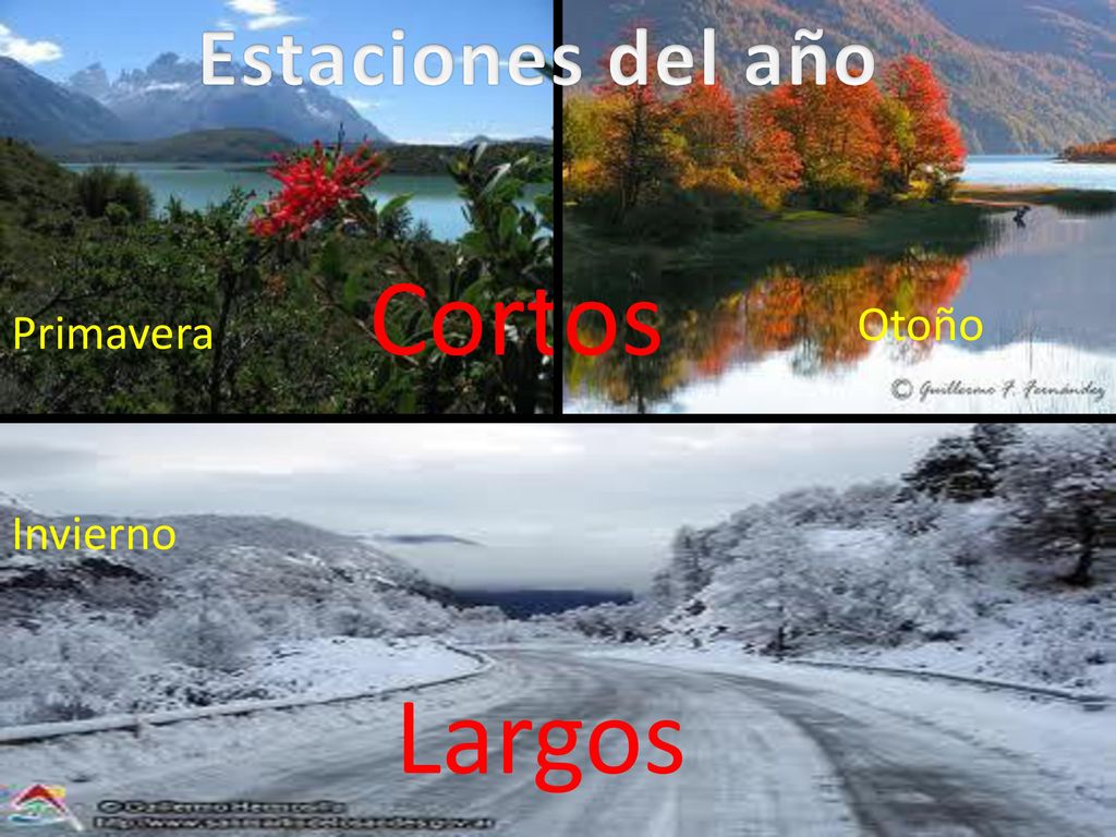 Estaciones del año Cortos Otoño Primavera Invierno Largos