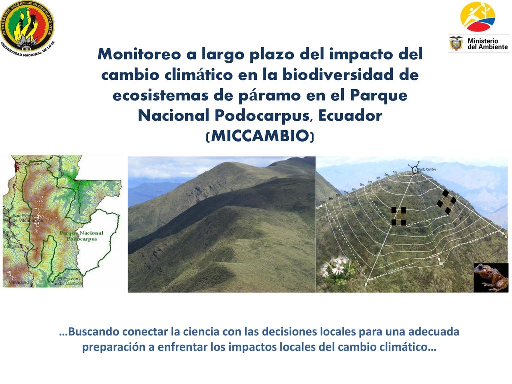 Monitoreo a largo plazo del impacto del cambio climático en la biodiversidad de ecosistemas de páramo en el Parque Nacional Podocarpus, Ecuador (MICCAMBIO)