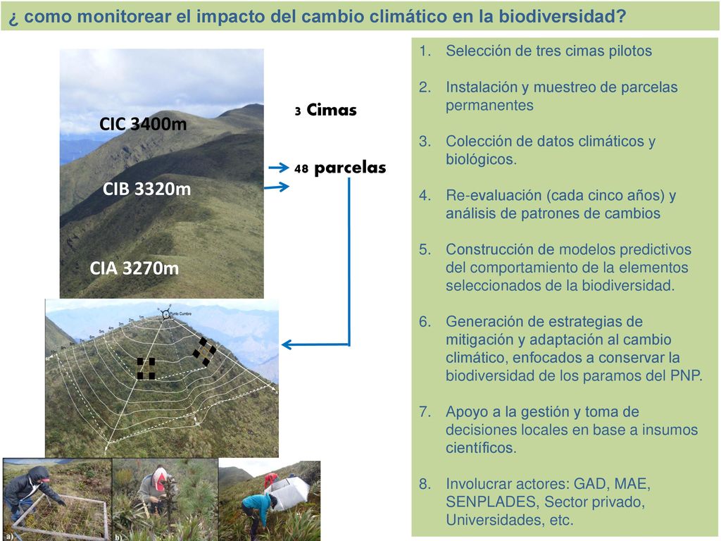 ¿ como monitorear el impacto del cambio climático en la biodiversidad