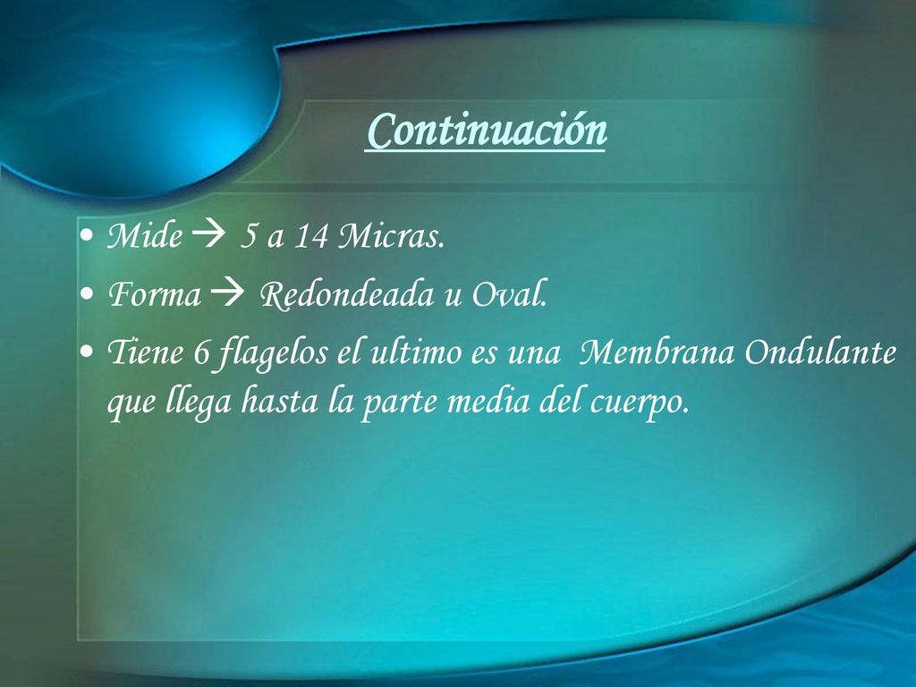 Continuación Mide  5 a 14 Micras. Forma  Redondeada u Oval.