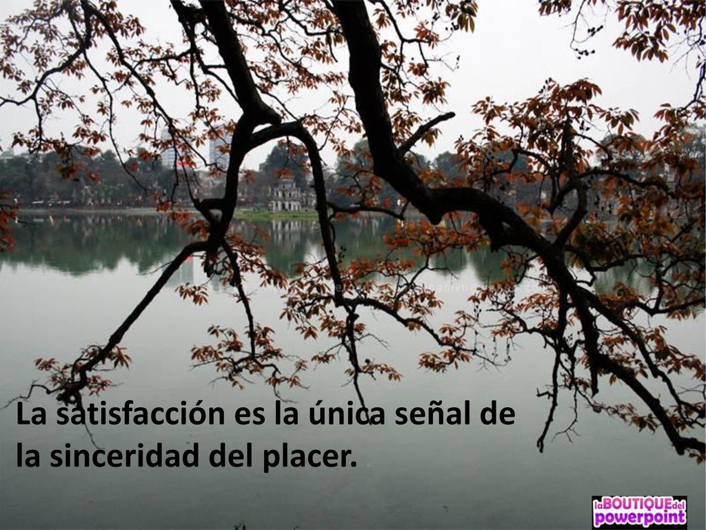 La satisfacción es la única señal de la sinceridad del placer.