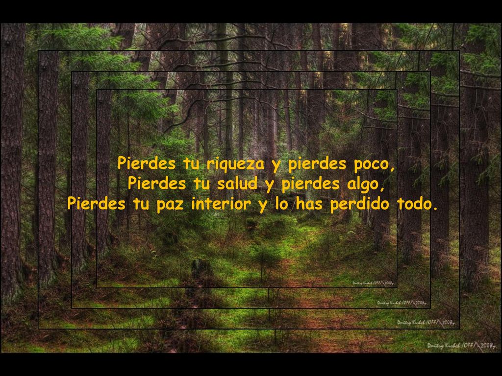 Pierdes tu riqueza y pierdes poco, Pierdes tu salud y pierdes algo,