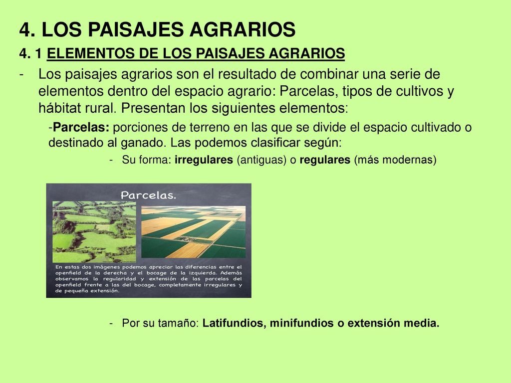 4. LOS PAISAJES AGRARIOS 4. 1 ELEMENTOS DE LOS PAISAJES AGRARIOS