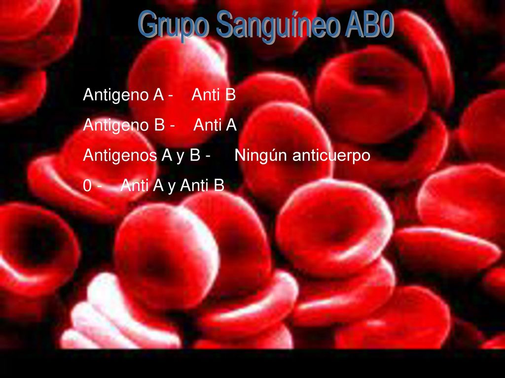 Grupo Sanguíneo AB0 Antigeno A - Anti B Antigeno B - Anti A