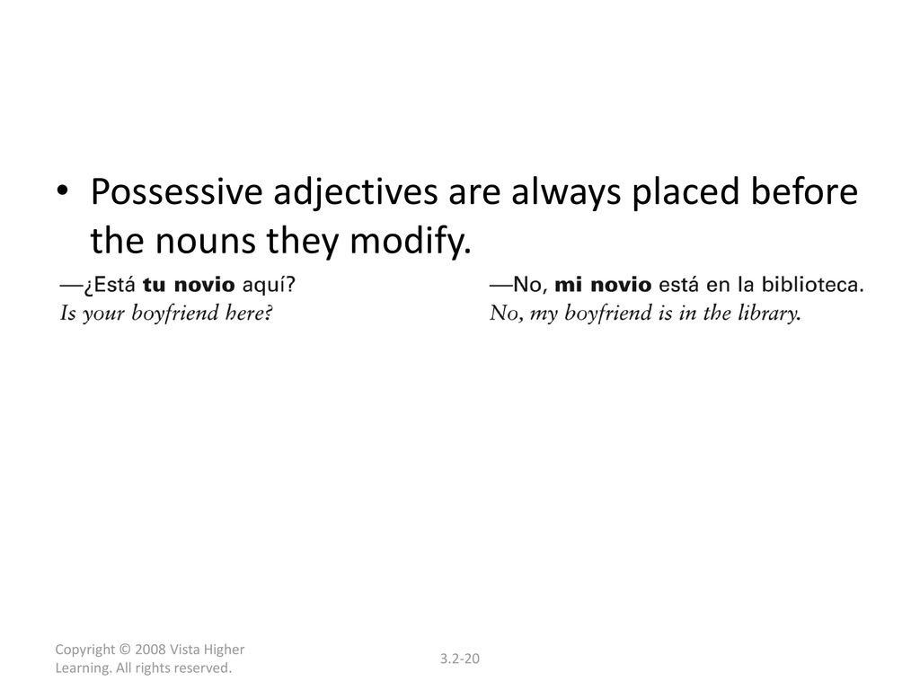 Possessive adjectives are always placed before the nouns they modify.