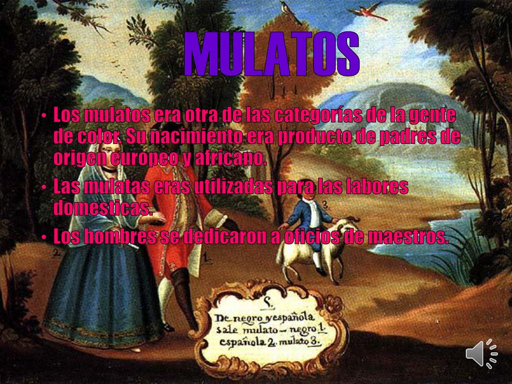 MULATOS Los mulatos era otra de las categorías de la gente de color. Su nacimiento era producto de padres de origen europeo y africano.