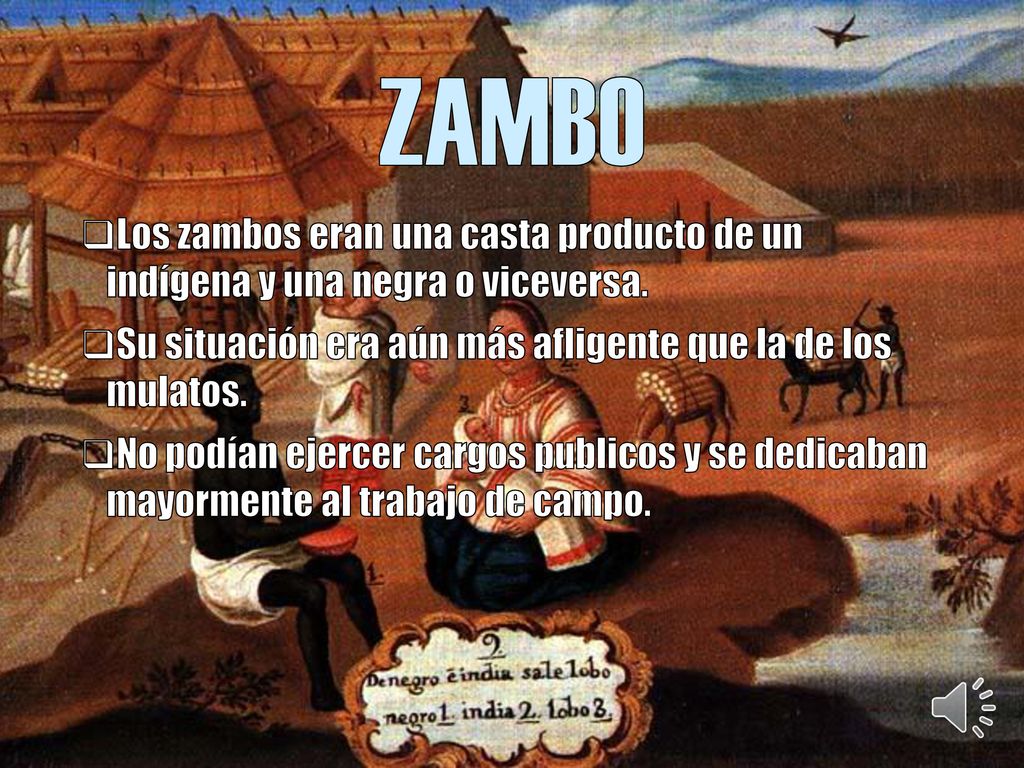 ZAMBO Los zambos eran una casta producto de un indígena y una negra o viceversa. Su situación era aún más afligente que la de los mulatos.