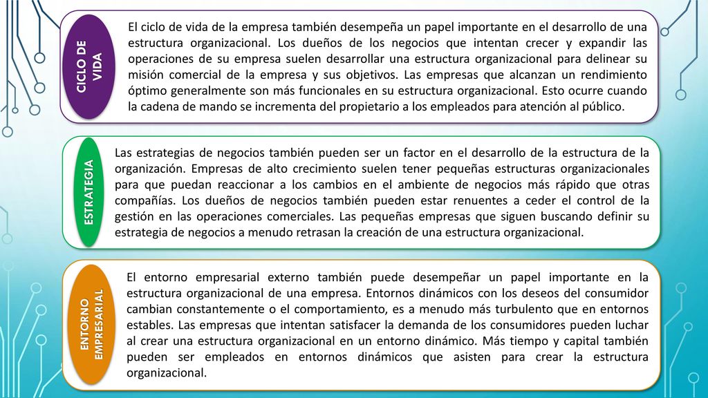 El ciclo de vida de la empresa también desempeña un papel importante en el desarrollo de una estructura organizacional. Los dueños de los negocios que intentan crecer y expandir las operaciones de su empresa suelen desarrollar una estructura organizacional para delinear su misión comercial de la empresa y sus objetivos. Las empresas que alcanzan un rendimiento óptimo generalmente son más funcionales en su estructura organizacional. Esto ocurre cuando la cadena de mando se incrementa del propietario a los empleados para atención al público.