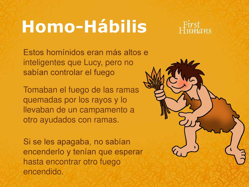 Homo-Hábilis Estos homínidos eran más altos e inteligentes que Lucy, pero no sabían controlar el fuego.