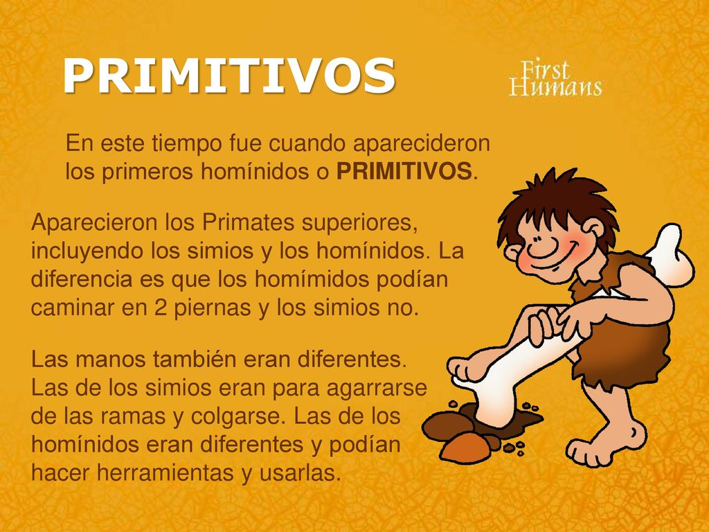 PRIMITIVOS En este tiempo fue cuando aparecideron los primeros homínidos o PRIMITIVOS.