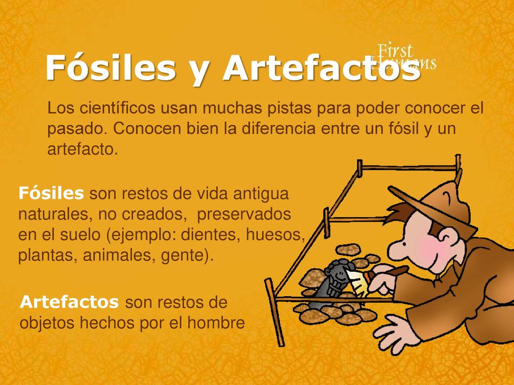 Fósiles y Artefactos Los científicos usan muchas pistas para poder conocer el pasado. Conocen bien la diferencia entre un fósil y un artefacto.