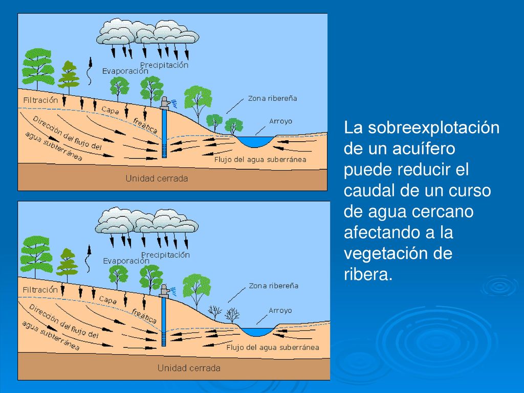La sobreexplotación de un acuífero puede reducir el caudal de un curso de agua cercano afectando a la vegetación de ribera.