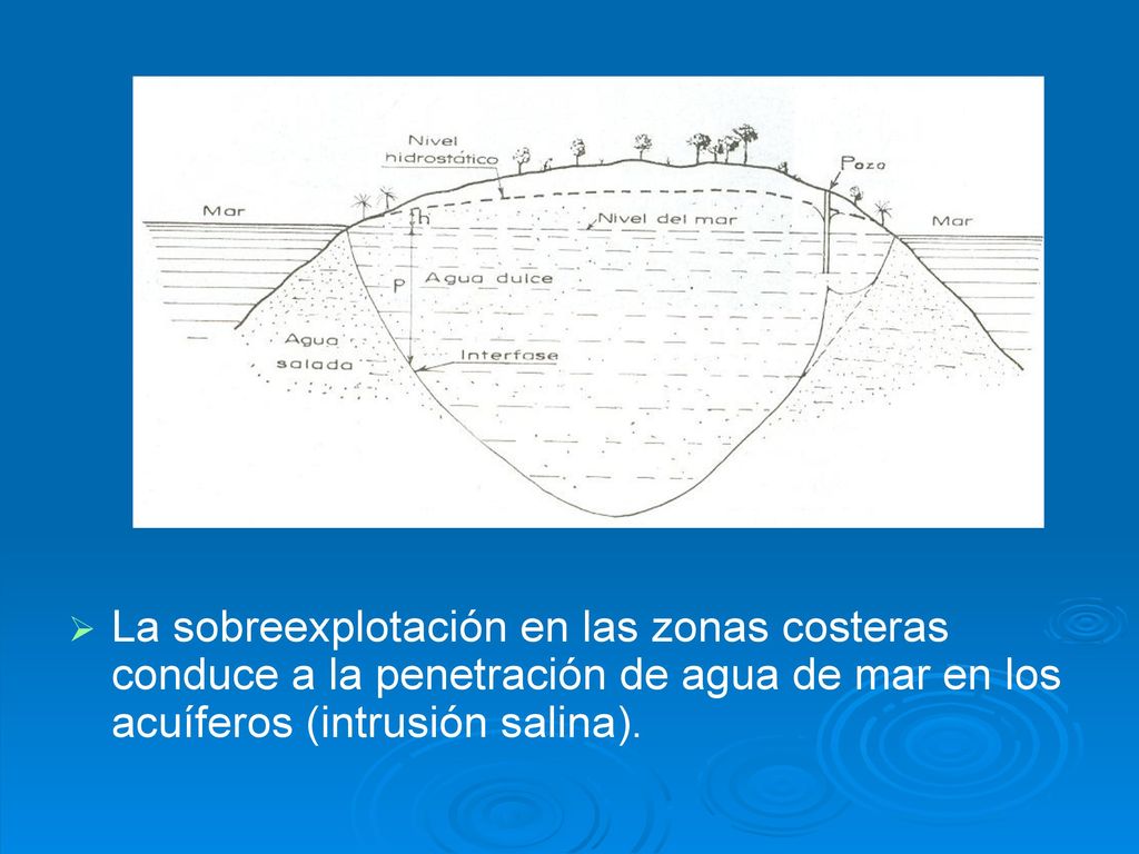 La sobreexplotación en las zonas costeras conduce a la penetración de agua de mar en los acuíferos (intrusión salina).