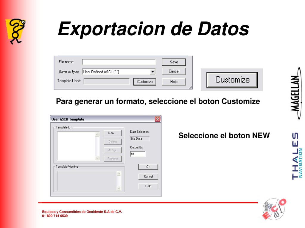Exportacion de Datos Para generar un formato, seleccione el boton Customize Seleccione el boton NEW