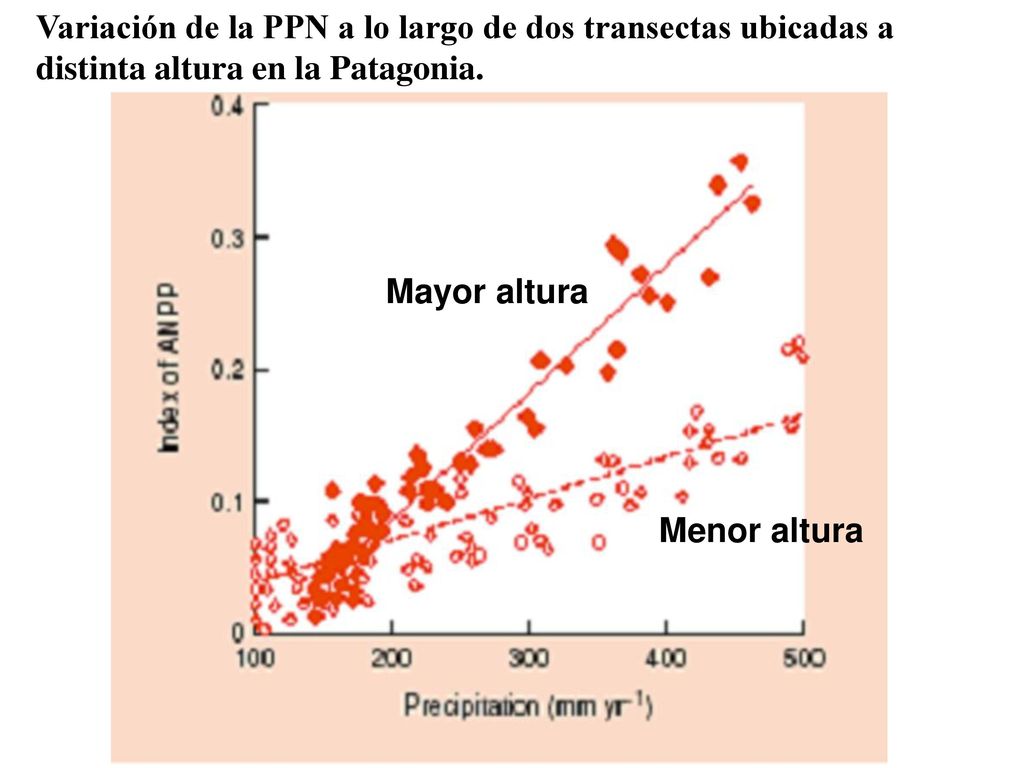 Variación de la PPN a lo largo de dos transectas ubicadas a distinta altura en la Patagonia.