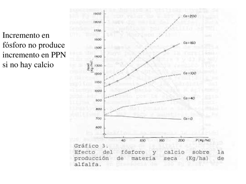 Incremento en fósforo no produce incremento en PPN si no hay calcio
