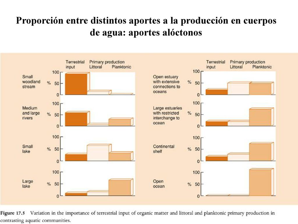 Proporción entre distintos aportes a la producción en cuerpos de agua: aportes alóctonos