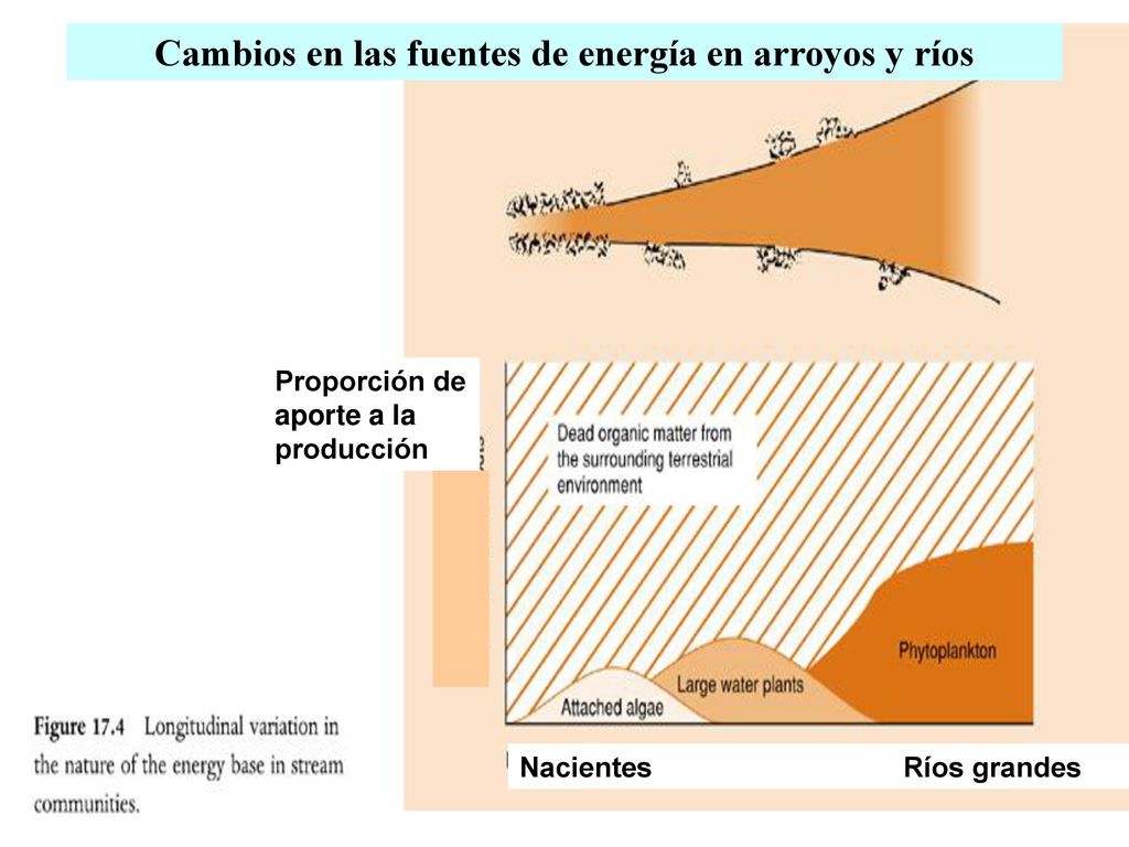 Cambios en las fuentes de energía en arroyos y ríos