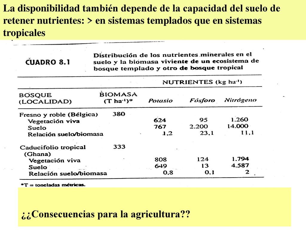 La disponibilidad también depende de la capacidad del suelo de retener nutrientes: > en sistemas templados que en sistemas tropicales