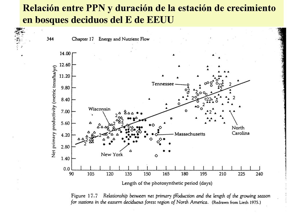Relación entre PPN y duración de la estación de crecimiento en bosques deciduos del E de EEUU