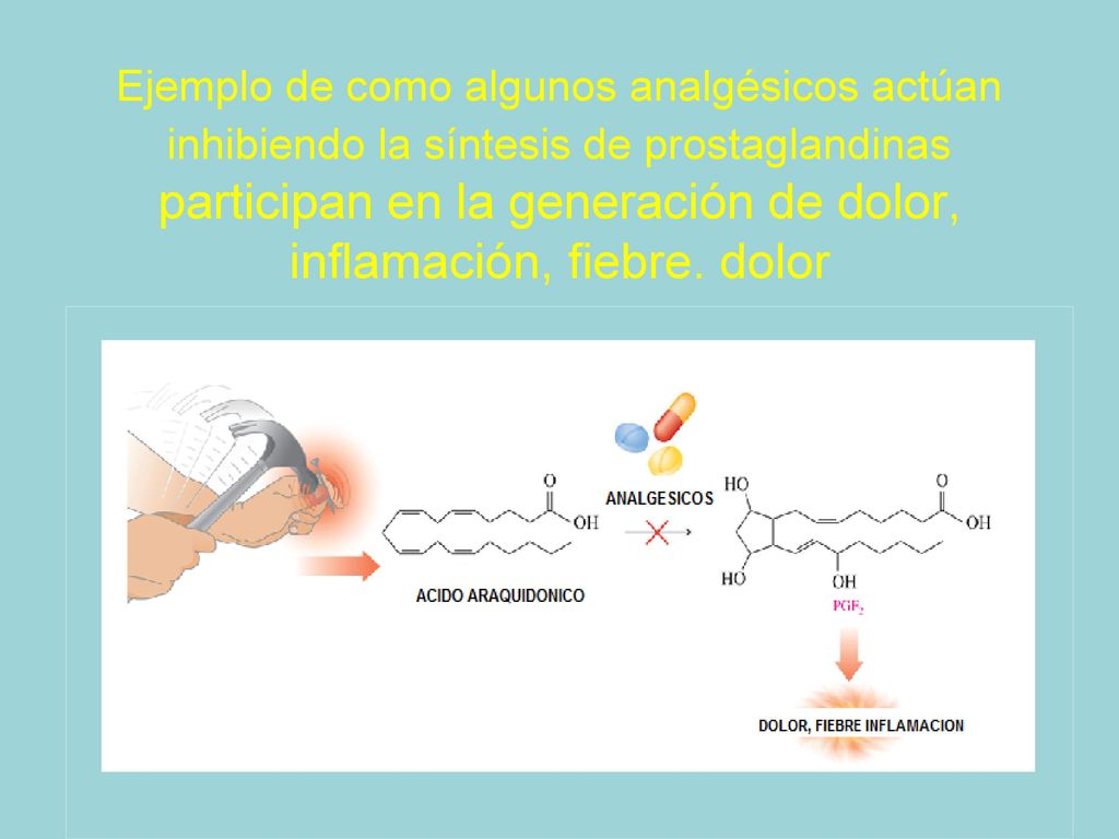Ejemplo de como algunos analgésicos actúan inhibiendo la síntesis de prostaglandinas participan en la generación de dolor, inflamación, fiebre.