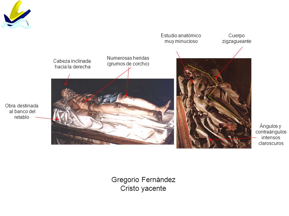 Gregorio Fernández Cristo yacente Estudio anatómico muy minucioso
