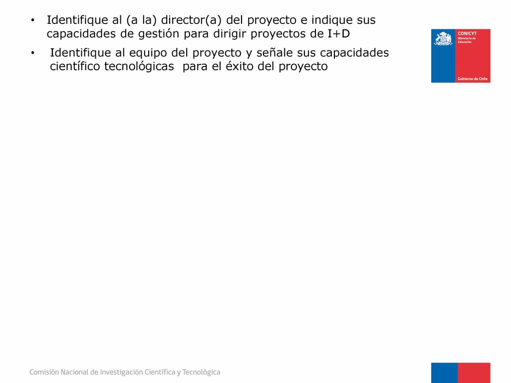 Identifique al (a la) director(a) del proyecto e indique sus capacidades de gestión para dirigir proyectos de I+D