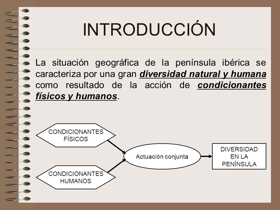 INTRODUCCIÓN
