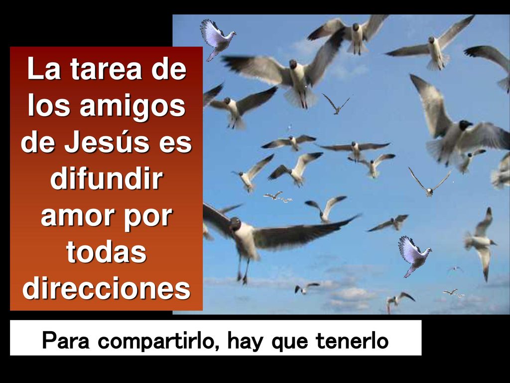 La tarea de los amigos de Jesús es difundir amor por todas direcciones