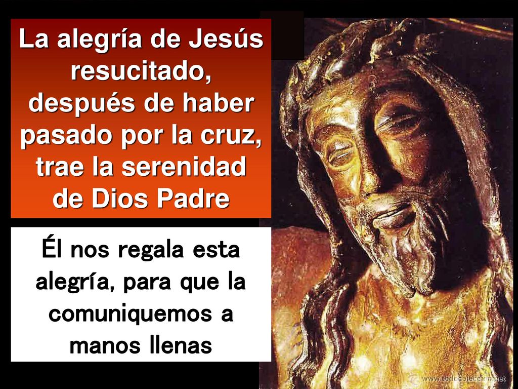 Él nos regala esta alegría, para que la comuniquemos a manos llenas