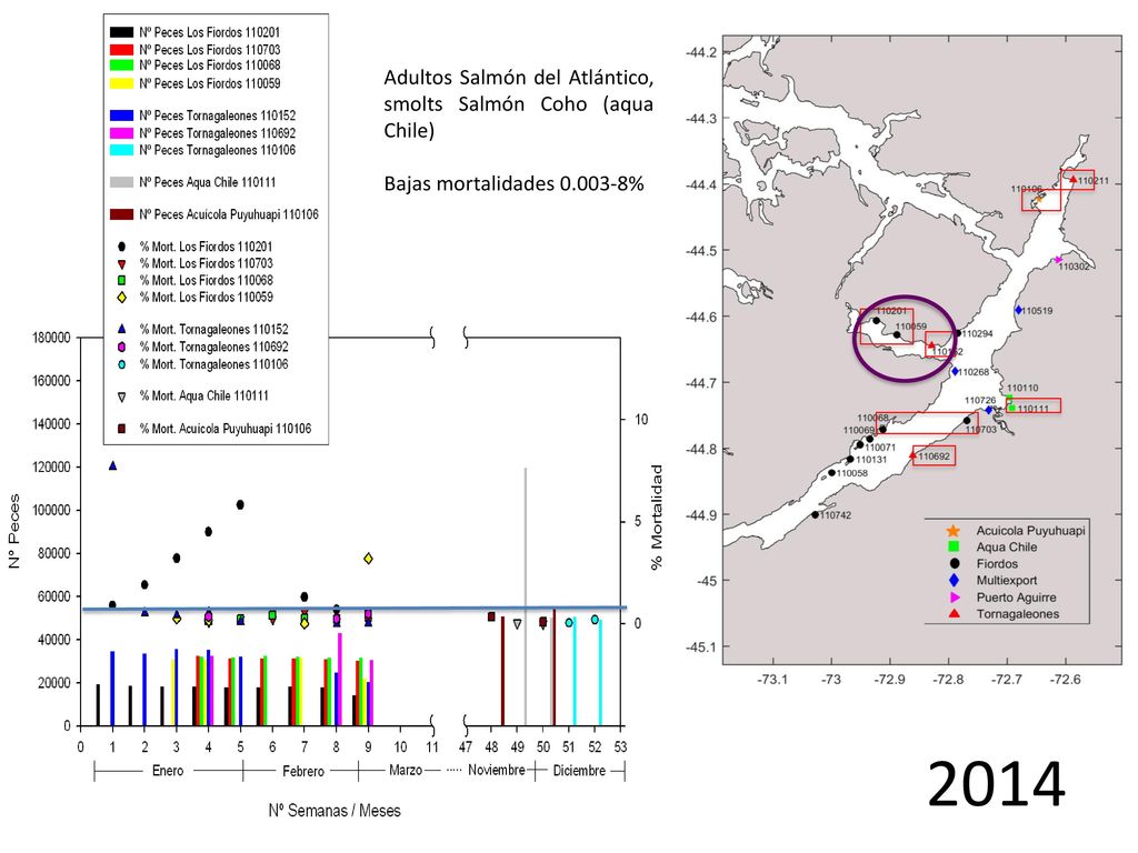 2014 Adultos Salmón del Atlántico, smolts Salmón Coho (aqua Chile)