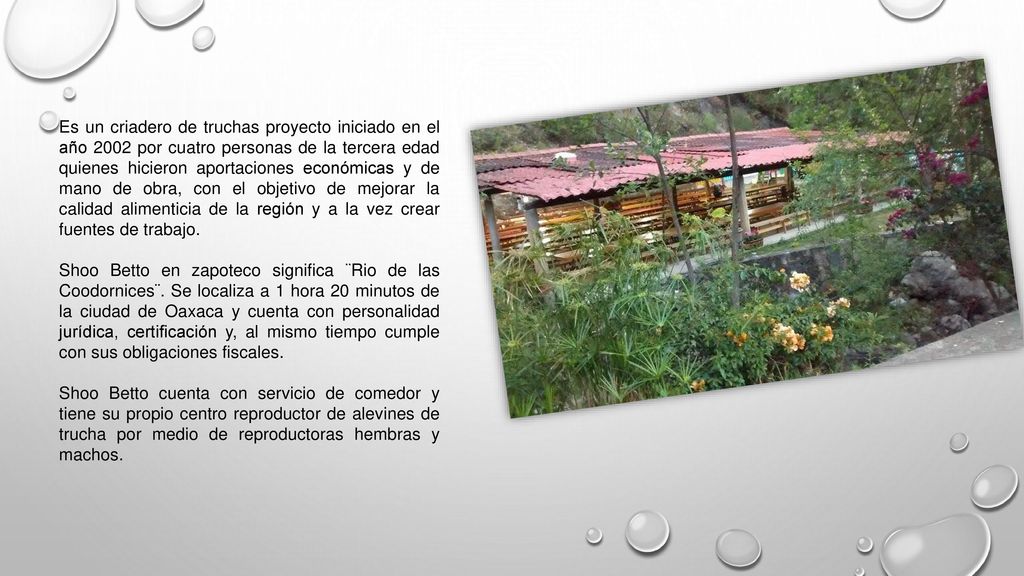 Es un criadero de truchas proyecto iniciado en el año 2002 por cuatro personas de la tercera edad quienes hicieron aportaciones económicas y de mano de obra, con el objetivo de mejorar la calidad alimenticia de la región y a la vez crear fuentes de trabajo.