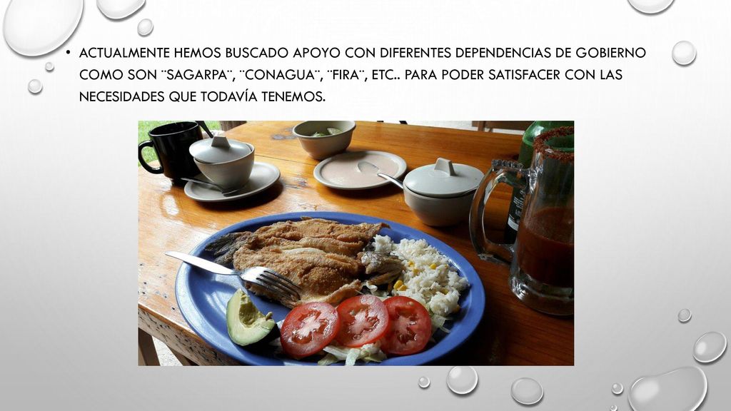 Actualmente hemos buscado apoyo con diferentes dependencias de gobierno como son ¨sagarpa¨, ¨conagua¨, ¨fira¨, etc..