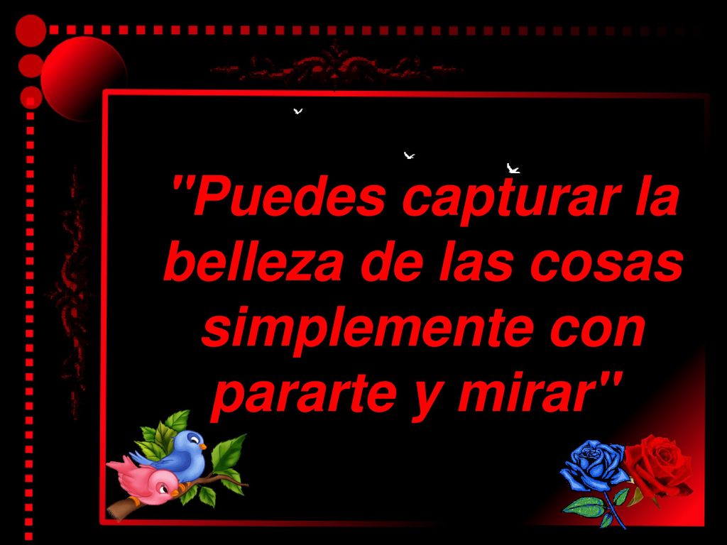Puedes capturar la belleza de las cosas simplemente con pararte y mirar