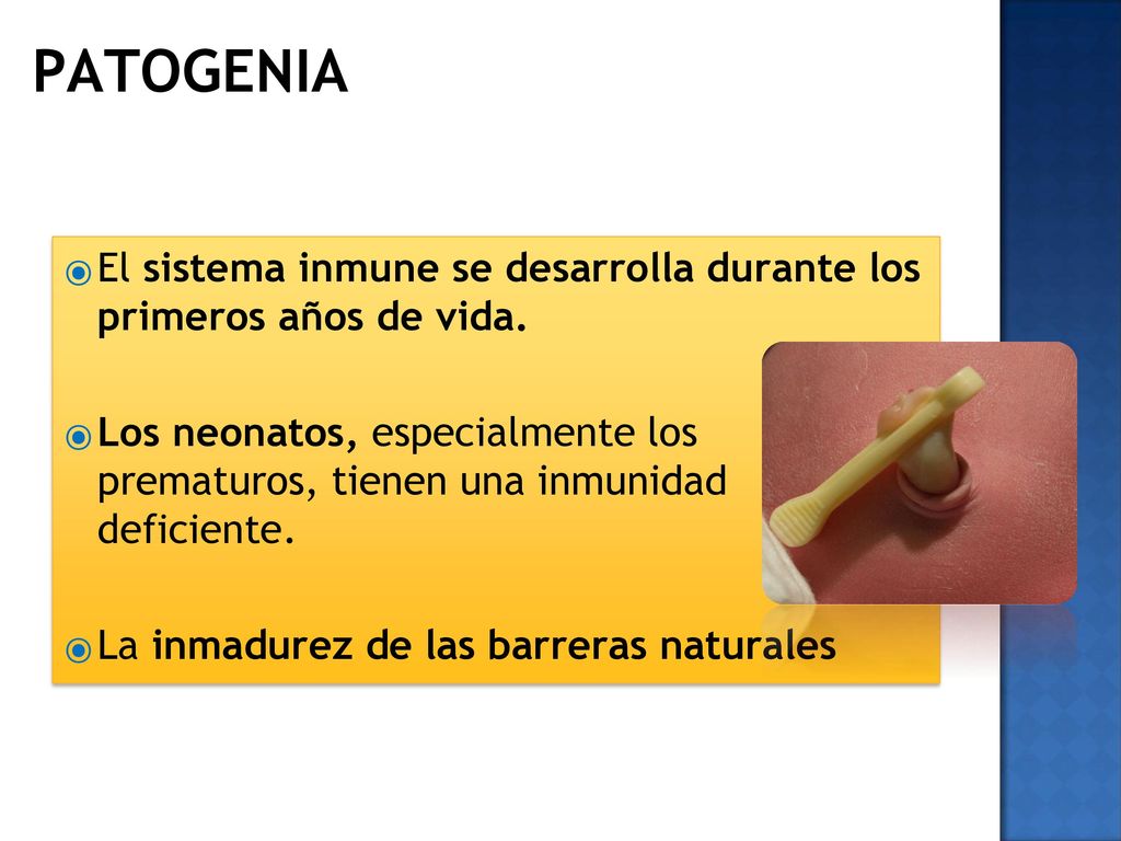 PATOGENIA El sistema inmune se desarrolla durante los primeros años de vida.
