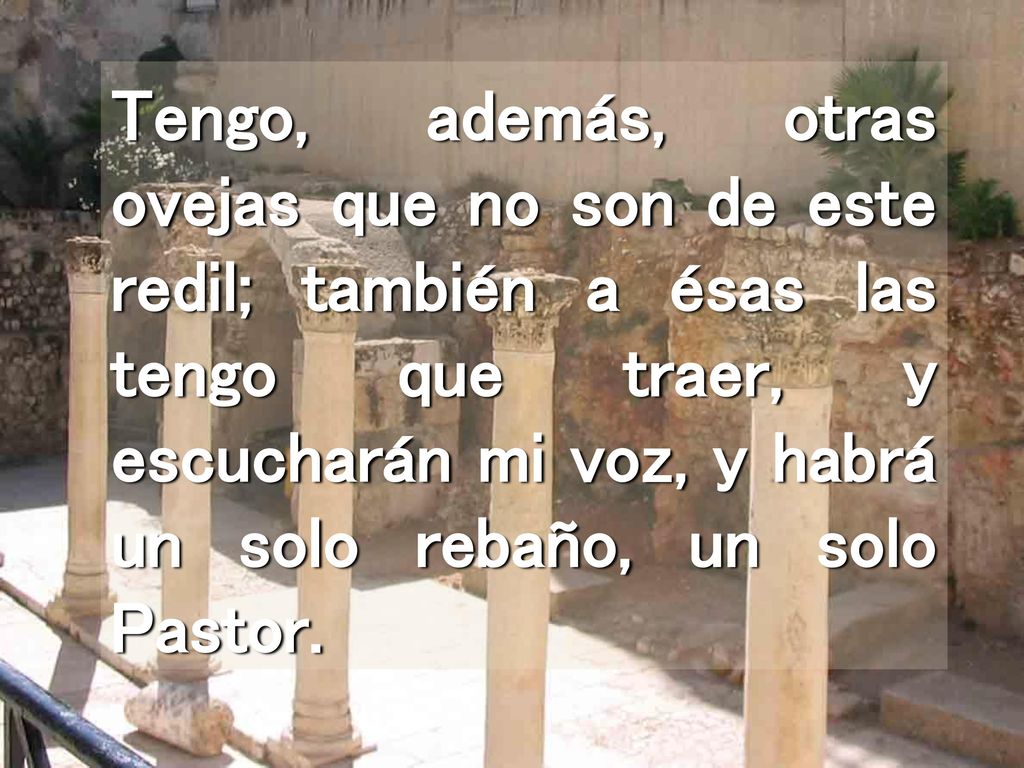 Tengo, además, otras ovejas que no son de este redil; también a ésas las tengo que traer, y escucharán mi voz, y habrá un solo rebaño, un solo Pastor.