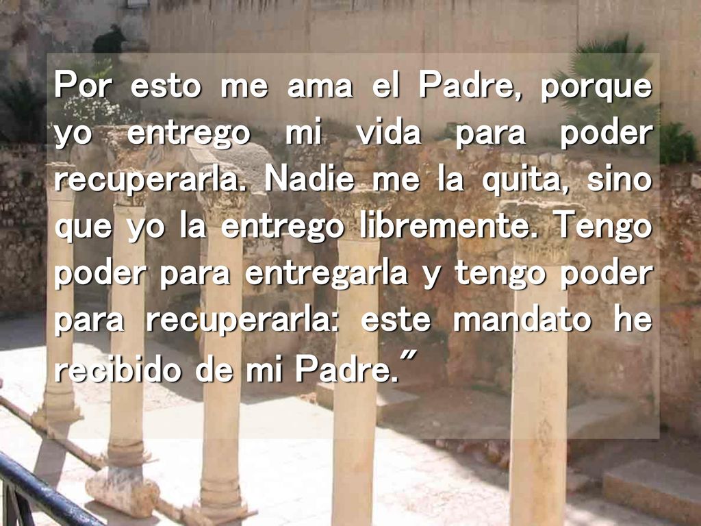 Por esto me ama el Padre, porque yo entrego mi vida para poder recuperarla.