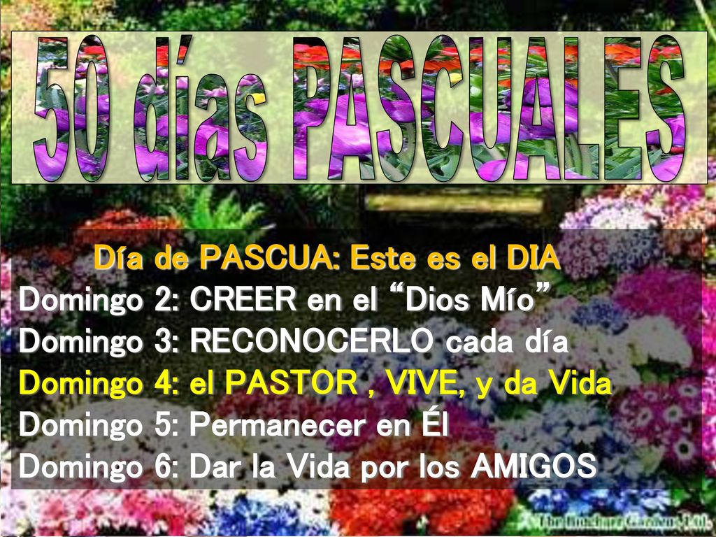 50 días PASCUALES Día de PASCUA: Este es el DIA