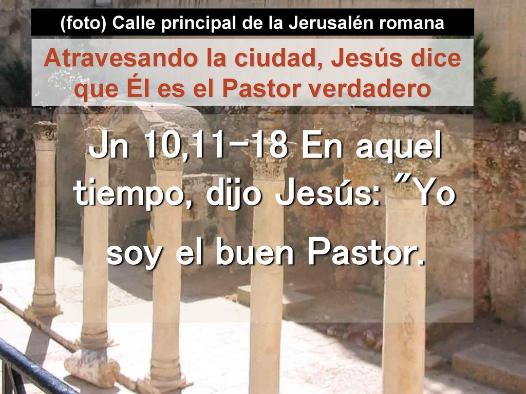 Jn 10,11-18 En aquel tiempo, dijo Jesús: Yo soy el buen Pastor.