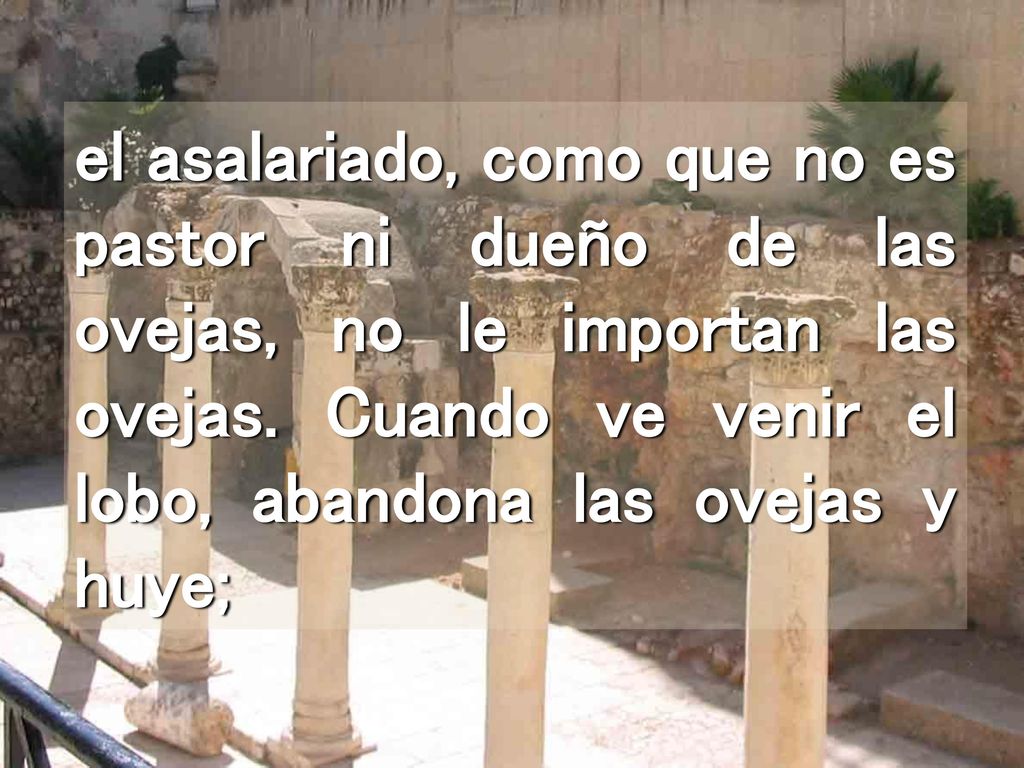 el asalariado, como que no es pastor ni dueño de las ovejas, no le importan las ovejas.