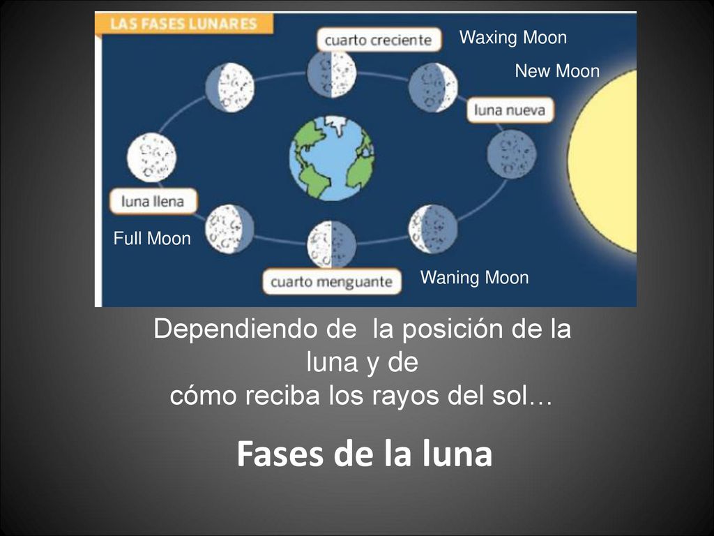 Fases de la luna Dependiendo de la posición de la luna y de