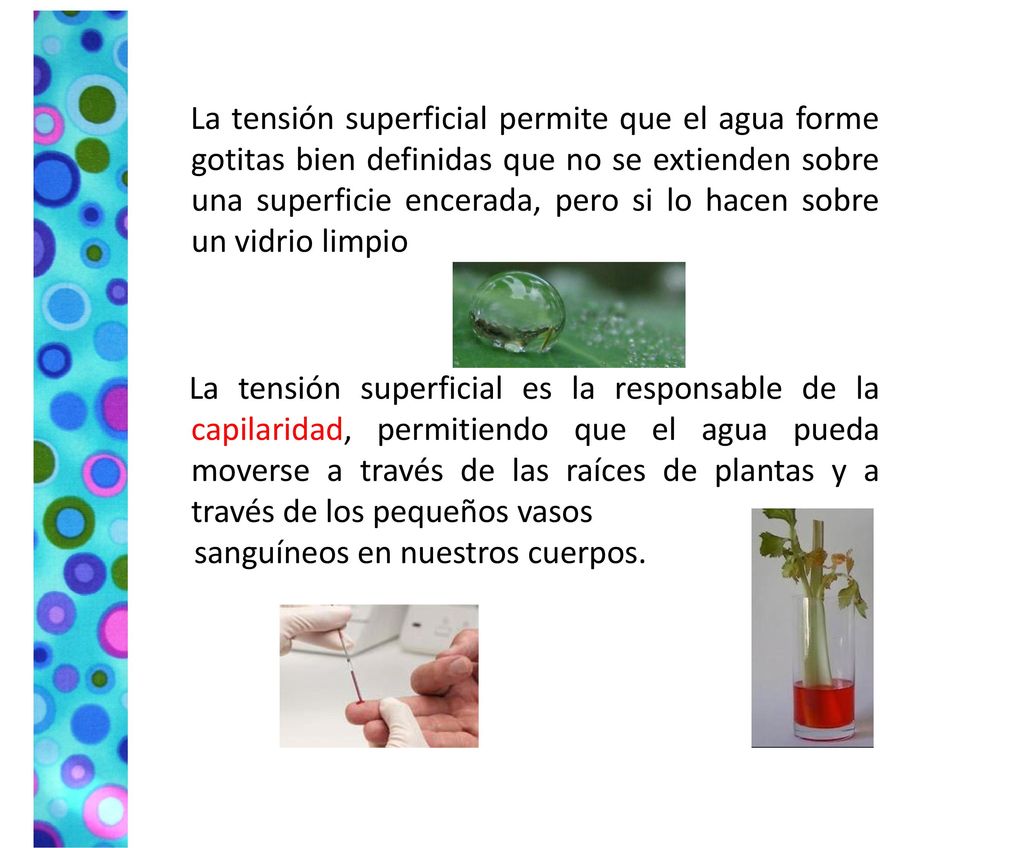 La tensión superficial permite que el agua forme gotitas bien definidas que no se extienden sobre una superficie encerada, pero si lo hacen sobre un vidrio limpio La tensión superficial es la responsable de la capilaridad, permitiendo que el agua pueda moverse a través de las raíces de plantas y a través de los pequeños vasos sanguíneos en nuestros cuerpos.