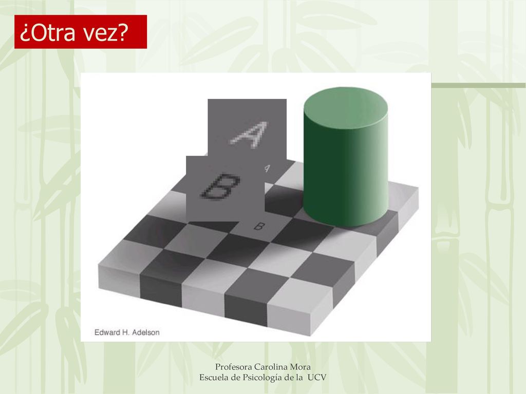 Profesora Carolina Mora Escuela de Psicología de la UCV