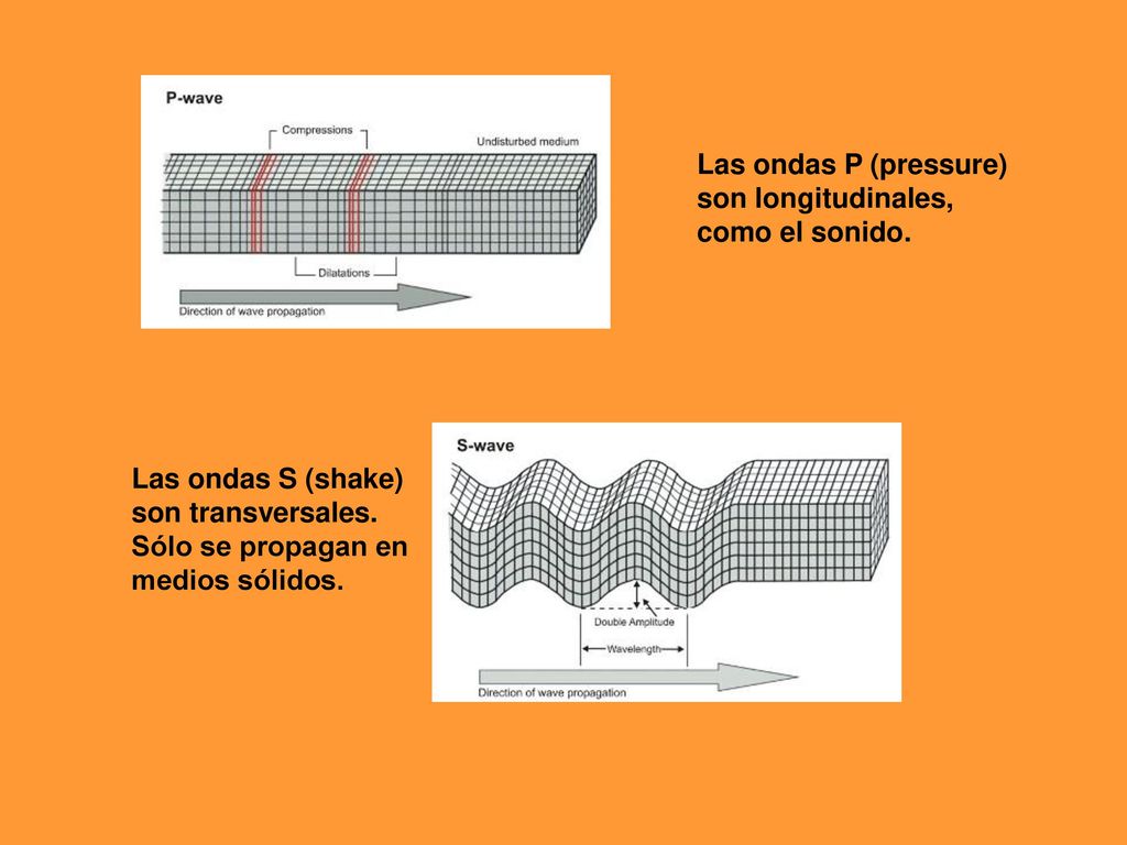 Las ondas P (pressure) son longitudinales, como el sonido. Las ondas S (shake) son transversales.