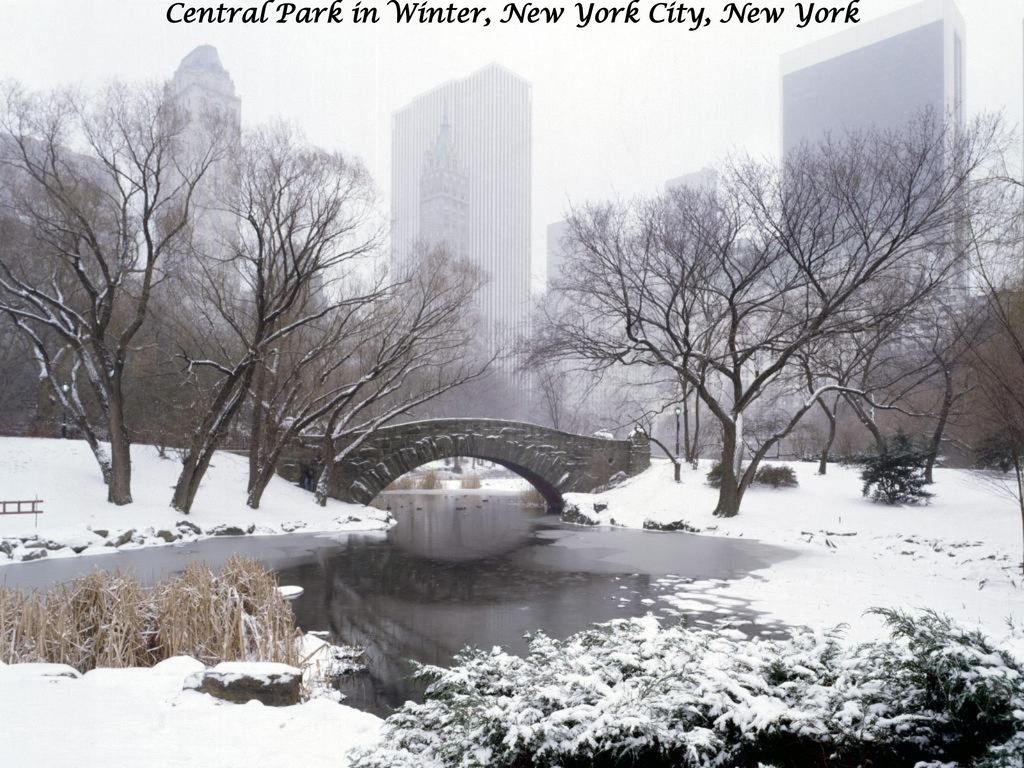 Central Park in Winter, New York City, New York