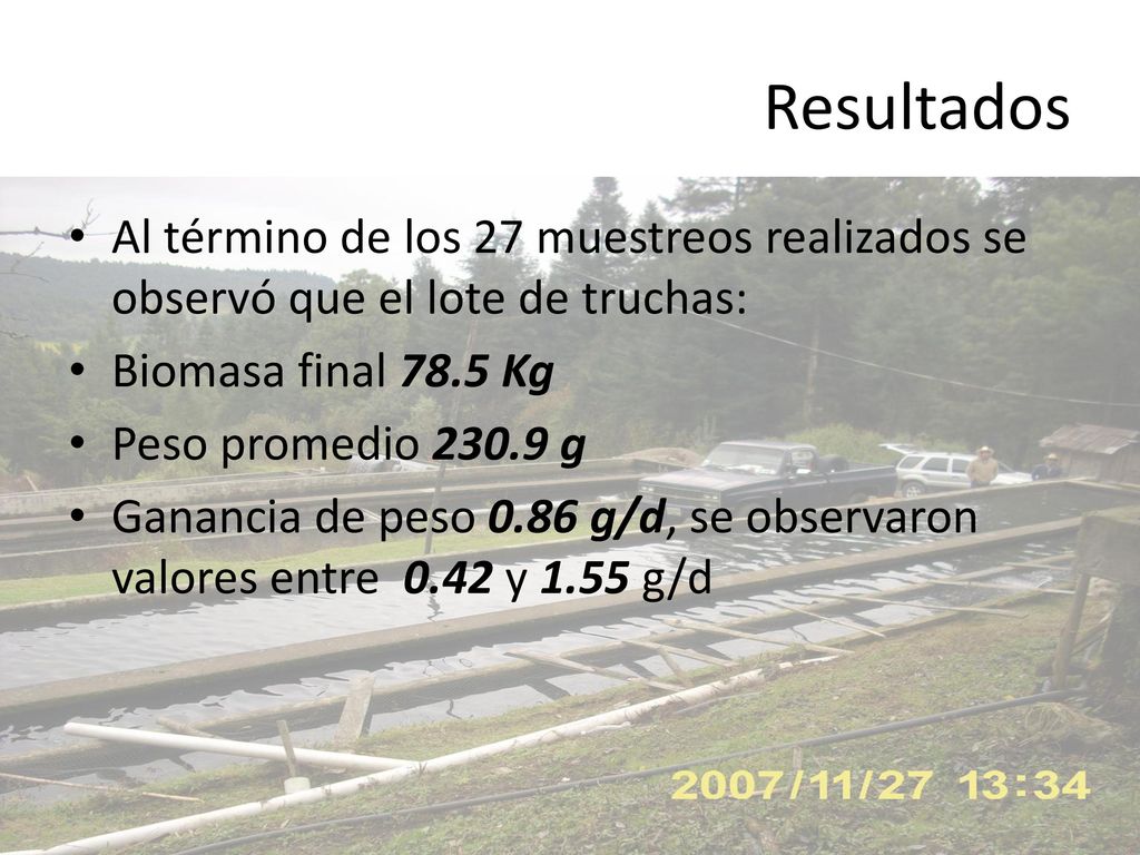Resultados Al término de los 27 muestreos realizados se observó que el lote de truchas: Biomasa final 78.5 Kg.